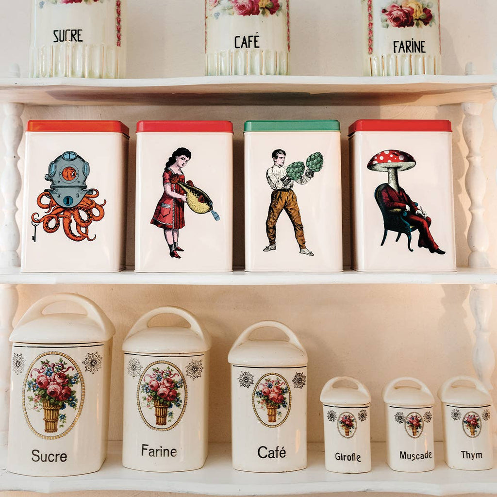 Rectangular tin box Scaphopoulp