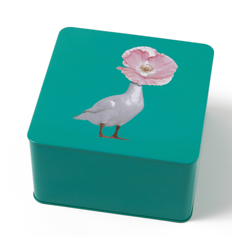 GANGZAÏ Tin Box — DIVA