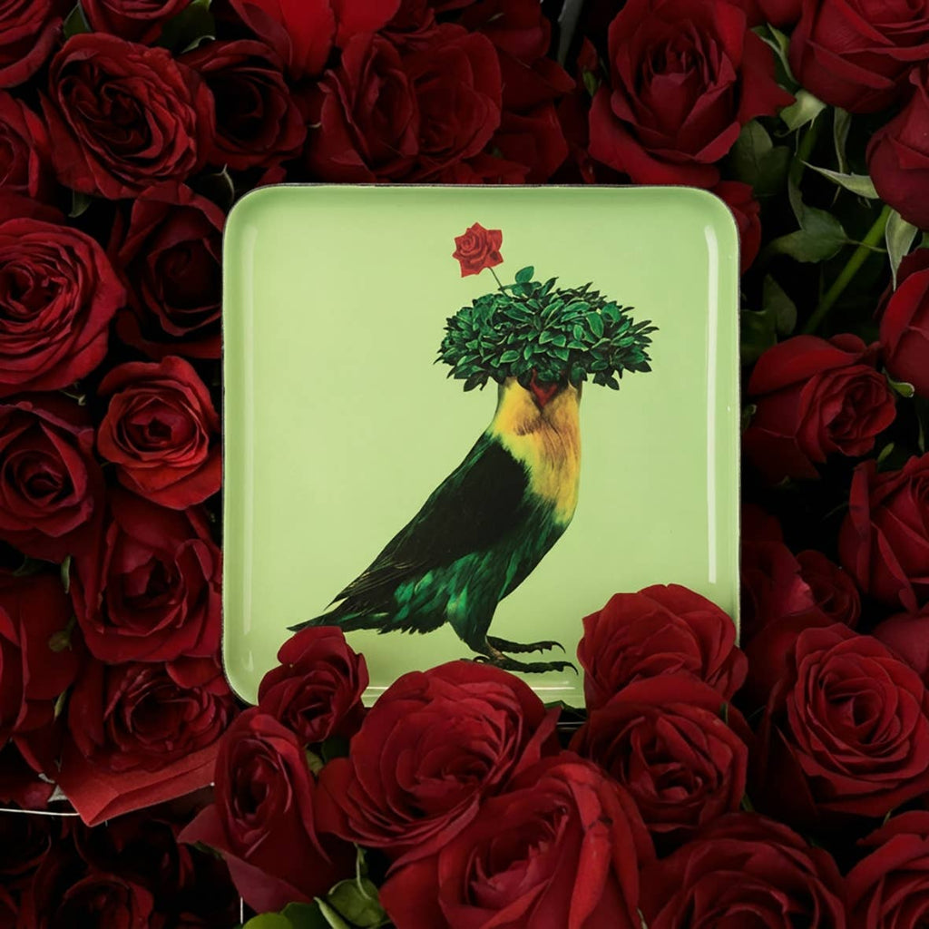 Romeo catchall