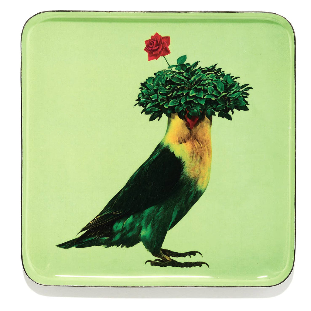 Romeo catchall