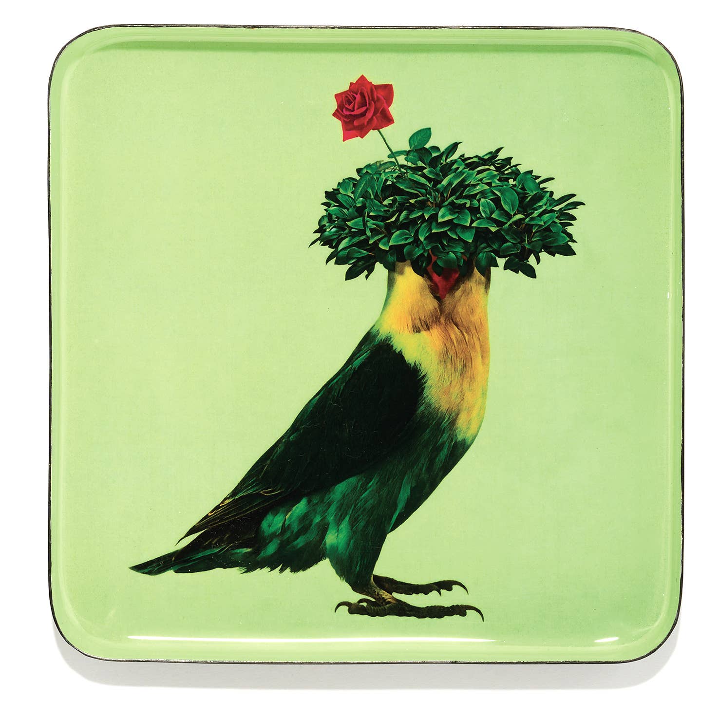Romeo catchall